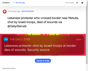 protestor.PNG
