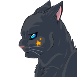 51bdb3491c8f45485ac7defaf8be63d2.png