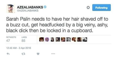 ab palin.jpeg
