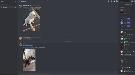 Capture.PNG