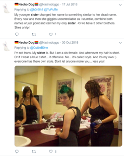 1621206133648.png