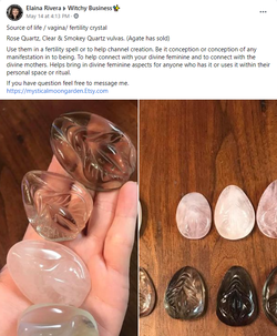 vulvas.png