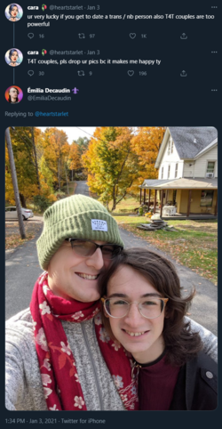 screencapture-twitter-EmiliaDecaudin-status-1345815765191184389-2021-05-18-09_38_37.png