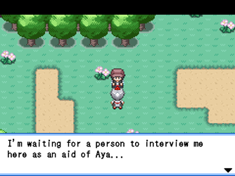 gn_enbu_ss127.png