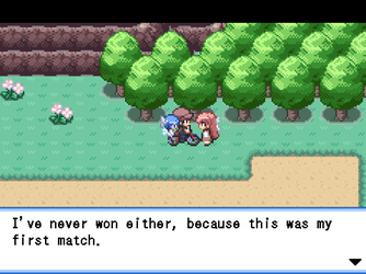 gn_enbu_ss134.png