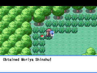 gn_enbu_ss135.png