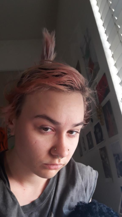 1621376704830.png 1621376704830.png