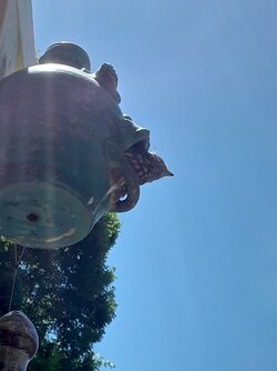 20210509_131135.jpg