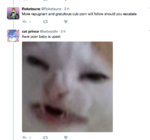 07.png