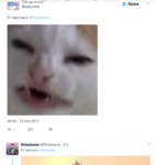 09.png