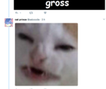 10.png
