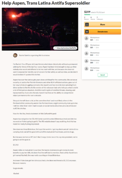 screencapture-gofundme-f-2bbvxe2tc0-2021-05-21-14_47_35.png