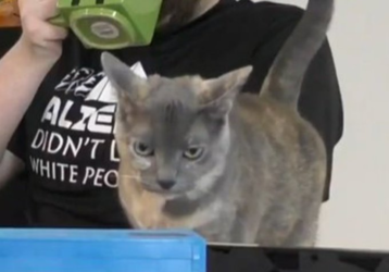 1621861745630.png
