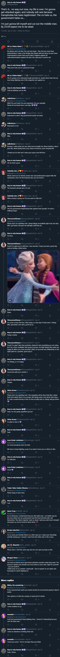 screencapture-twitter-teagirlofsteel-status-1384482968010334211-2021-05-24-08_50_52.png