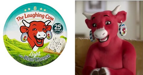 cow.jpg