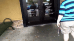 giphy (1).gif