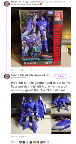 wvcrap.png