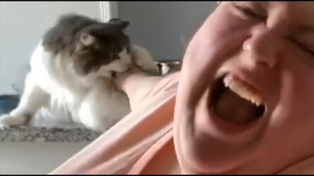 Screenshot_20210527-160308_YouTube.jpg