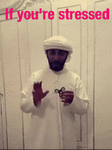 IMG_2827.GIF