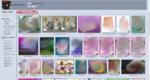 FA screenshop Immelmaann.png