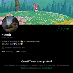 Screenshot_2021-05-28 Yuuz ( YuuuzUwU) su Twitter.png