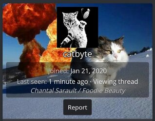 Screenshot_20210528-221359_Brave.jpg