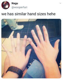 3685453225.jpg