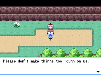 gn_enbu_ss074.png
