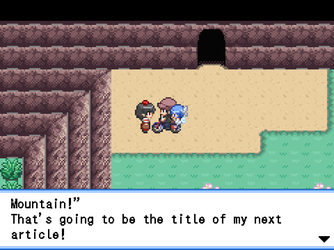 gn_enbu_ss100.png