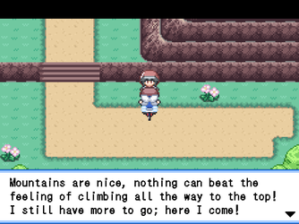 gn_enbu_ss176.png