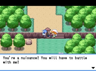 gn_enbu_ss244.png