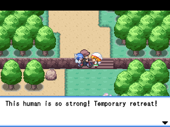gn_enbu_ss248.png