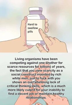 Scarcity is not a construct.jpg