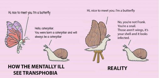 transphobia.jpg