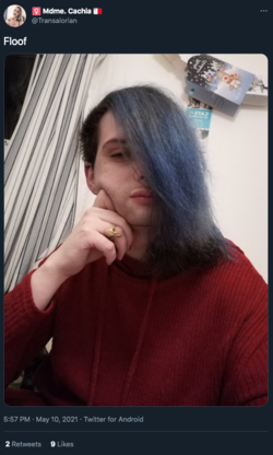 2021-06-03-07-16-twitter.com.png