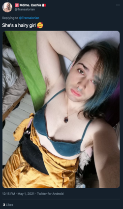 2021-06-03-07-17-twitter.com.png