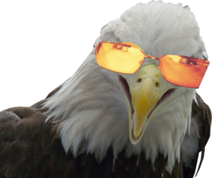 Eagle_Eyes_transparent.png