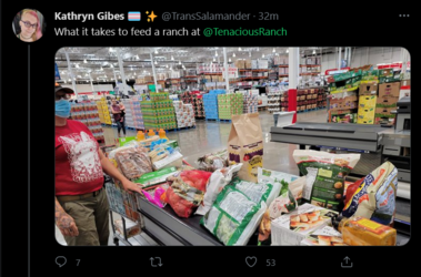 Screenshot_2021-06-04 Tweets with replies by Kathryn Gibes 🏳️‍⚧️ ✨ ( TransSalamander) Twitter.png
