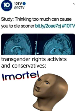 9d00cc6f-ab5f-53f0-9710-d06d48c72677.png