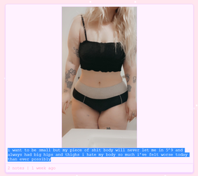 tumblr3.png