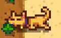 dd.png