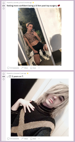 5.PNG