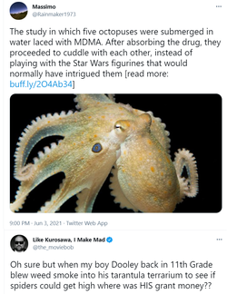 Untitled.png Untitled.png