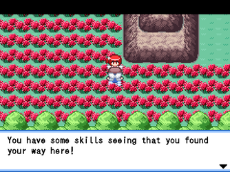 gn_enbu_ss092.png