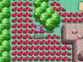 gn_enbu_ss098.png