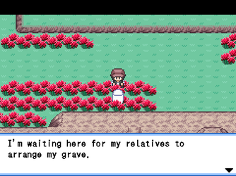 gn_enbu_ss102.png