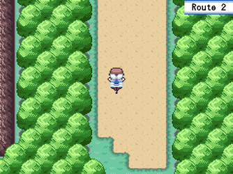 gn_enbu_ss111.png