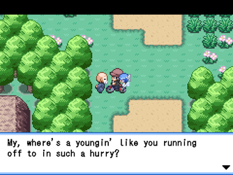 gn_enbu_ss112.png
