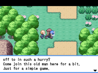 gn_enbu_ss113.png