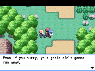 gn_enbu_ss116.png